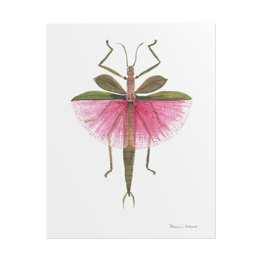 Pink Stick Insect Gouache Painting Art Print