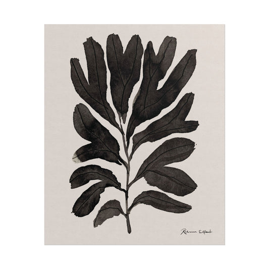 Abstract Ink Seaweed Branch - Art Print