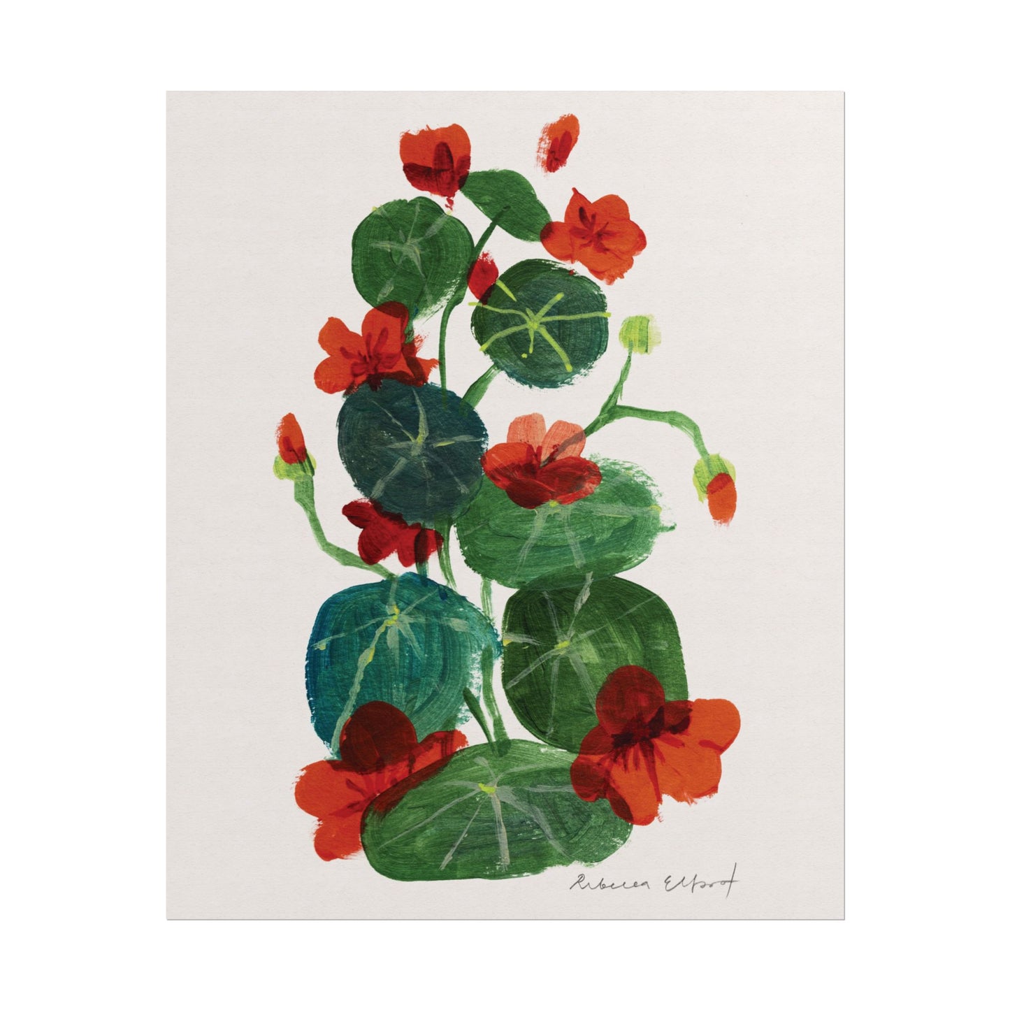 Nasturtium Floral Art Print