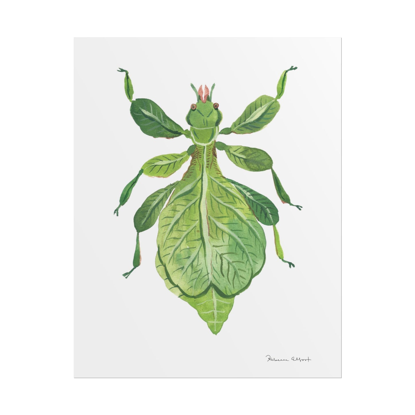 Green Leaf Insect Gouache Painting Art Print