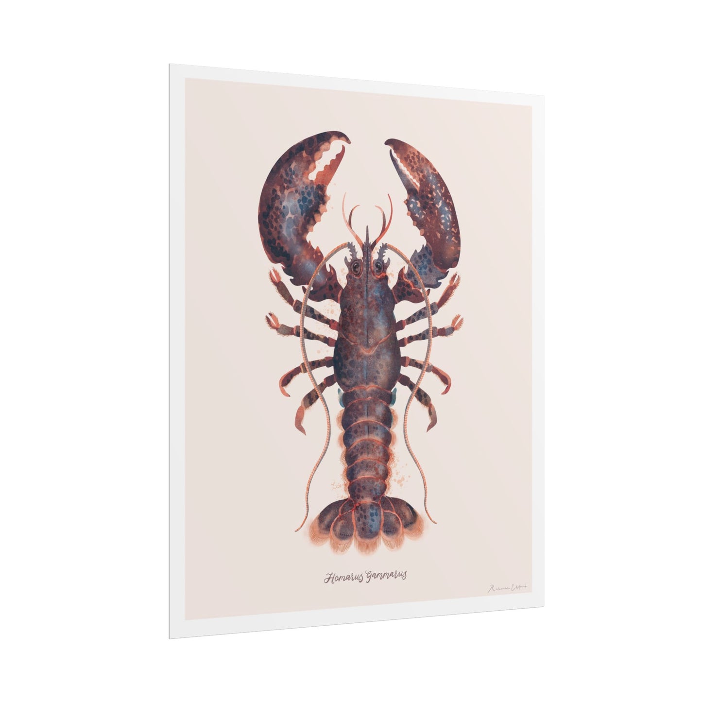 Lobster Wall Art Poster, Ocean Decor, Nautical Home Decor, Coastal Art, Seafood Lovers Gift, Kitchen Wall Art
