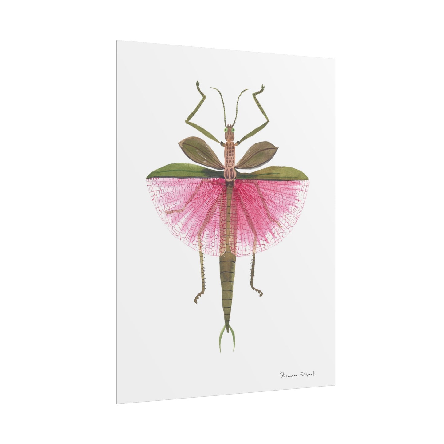 Pink Stick Insect Gouache Painting Art Print