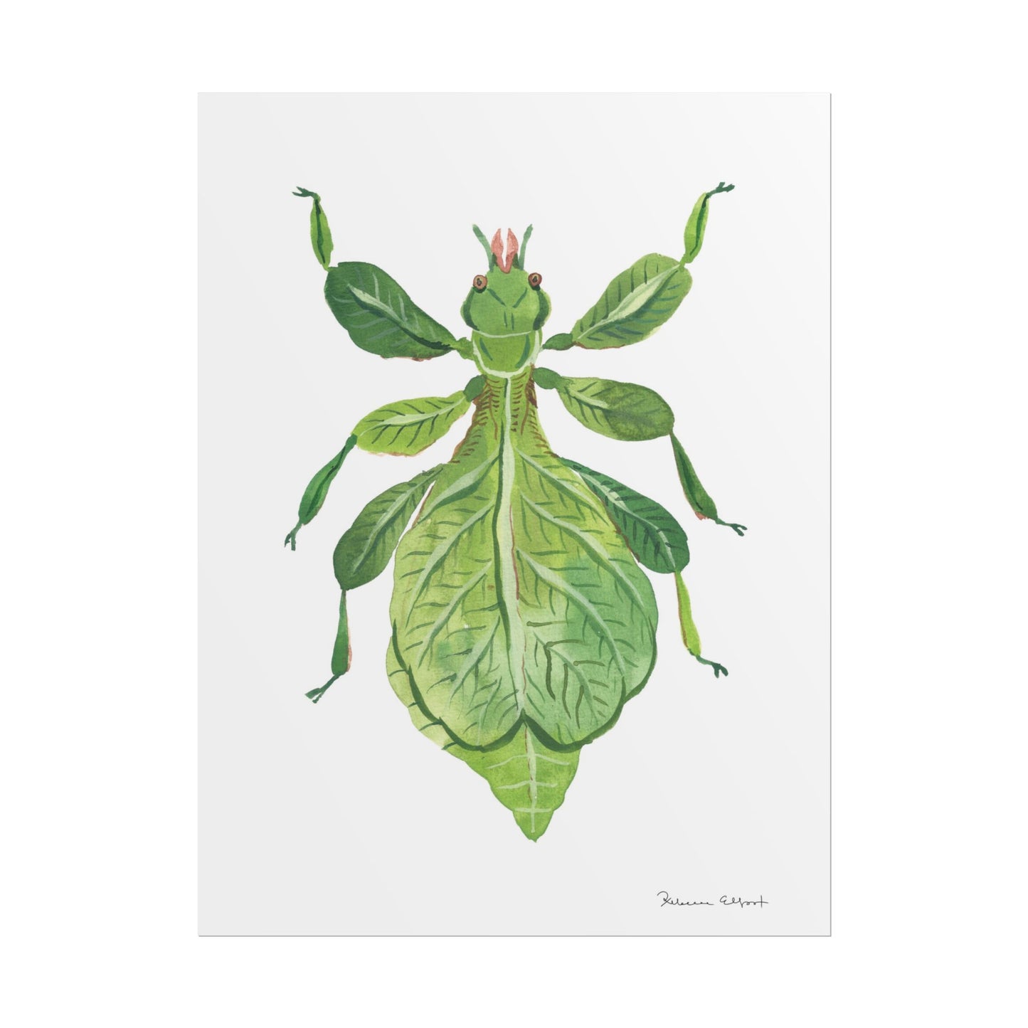 Green Leaf Insect Gouache Painting Art Print