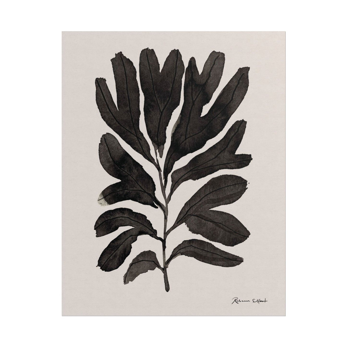 Abstract Ink Seaweed Branch - Art Print