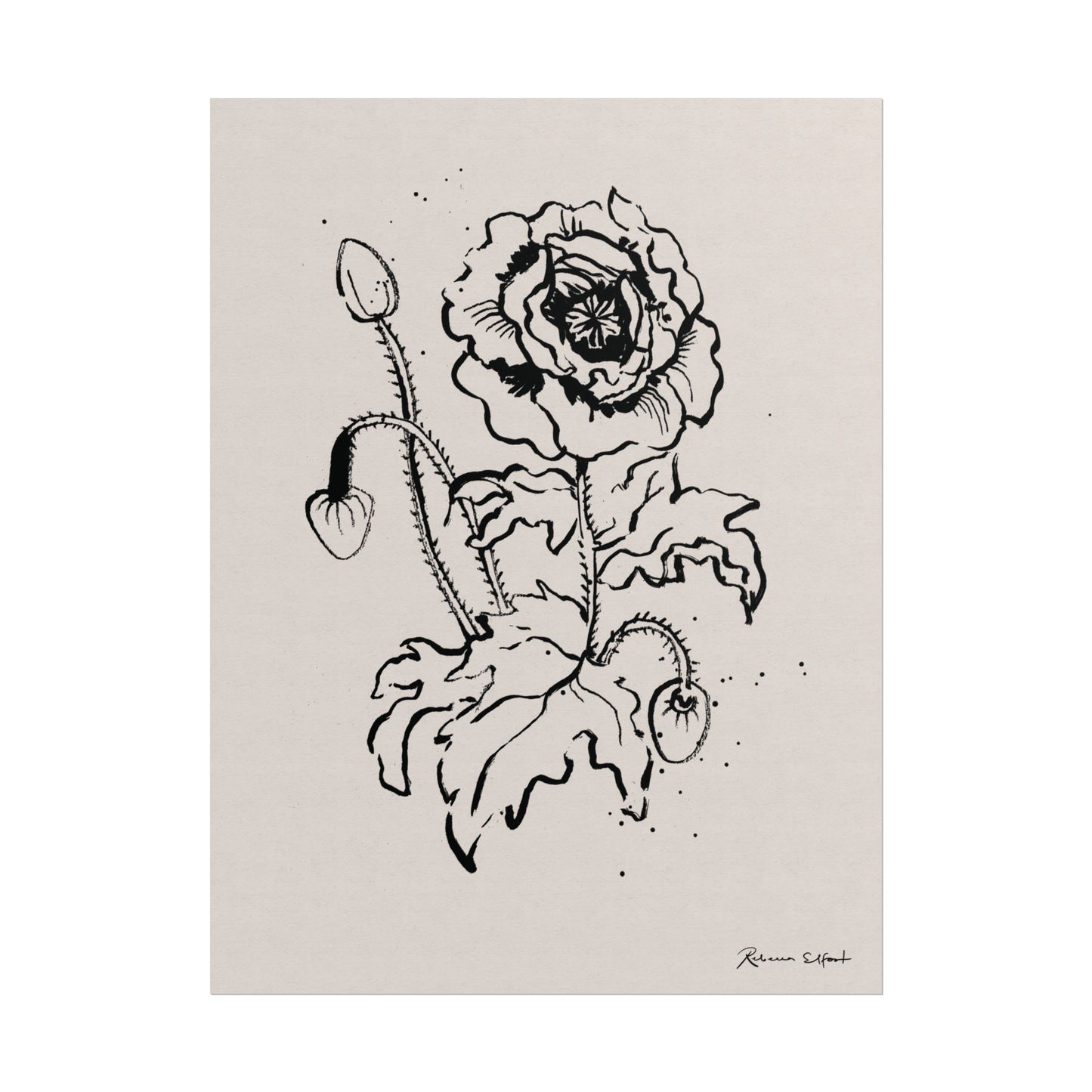 Ink Poppy - Art Print