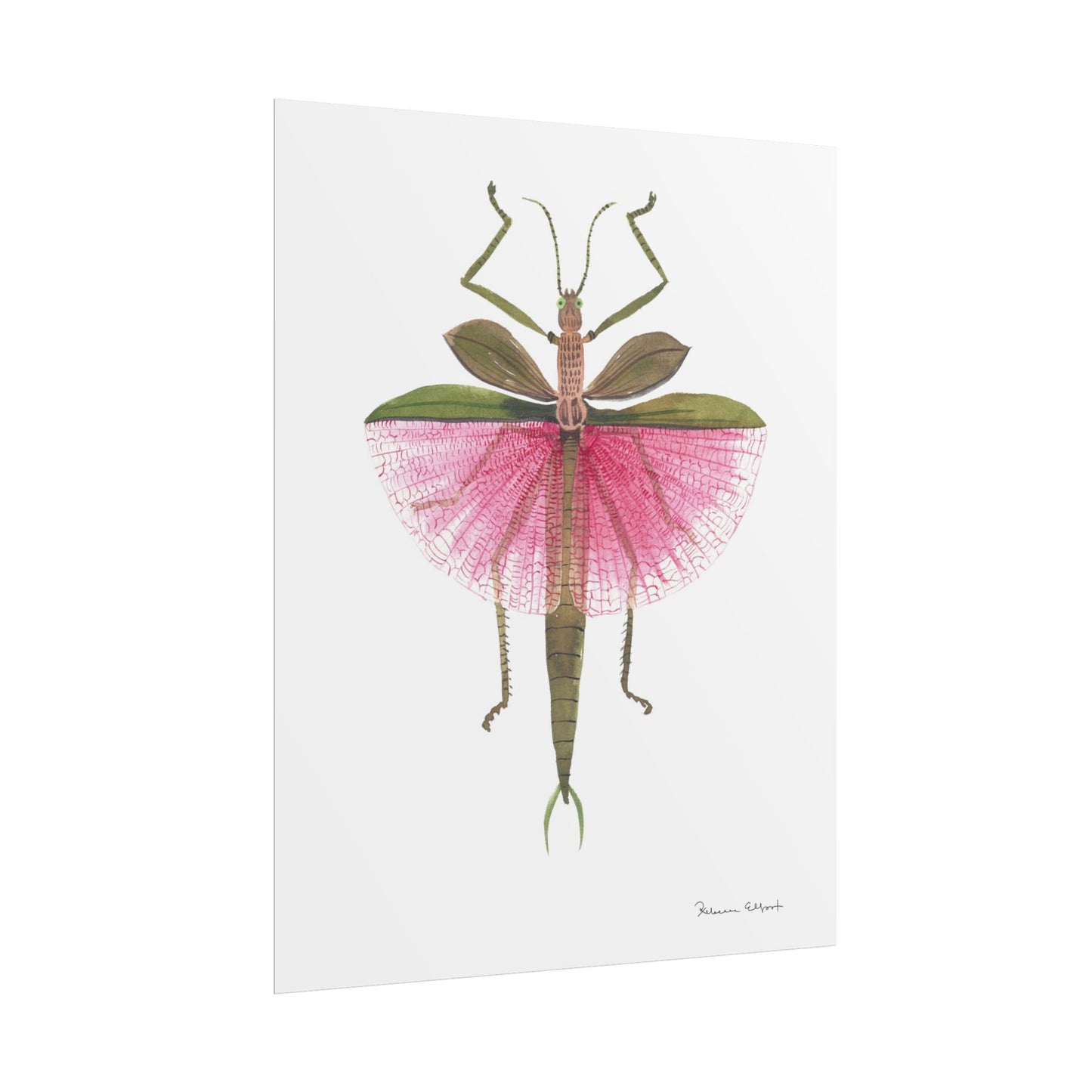 Pink Stick Insect Gouache Painting Art Print
