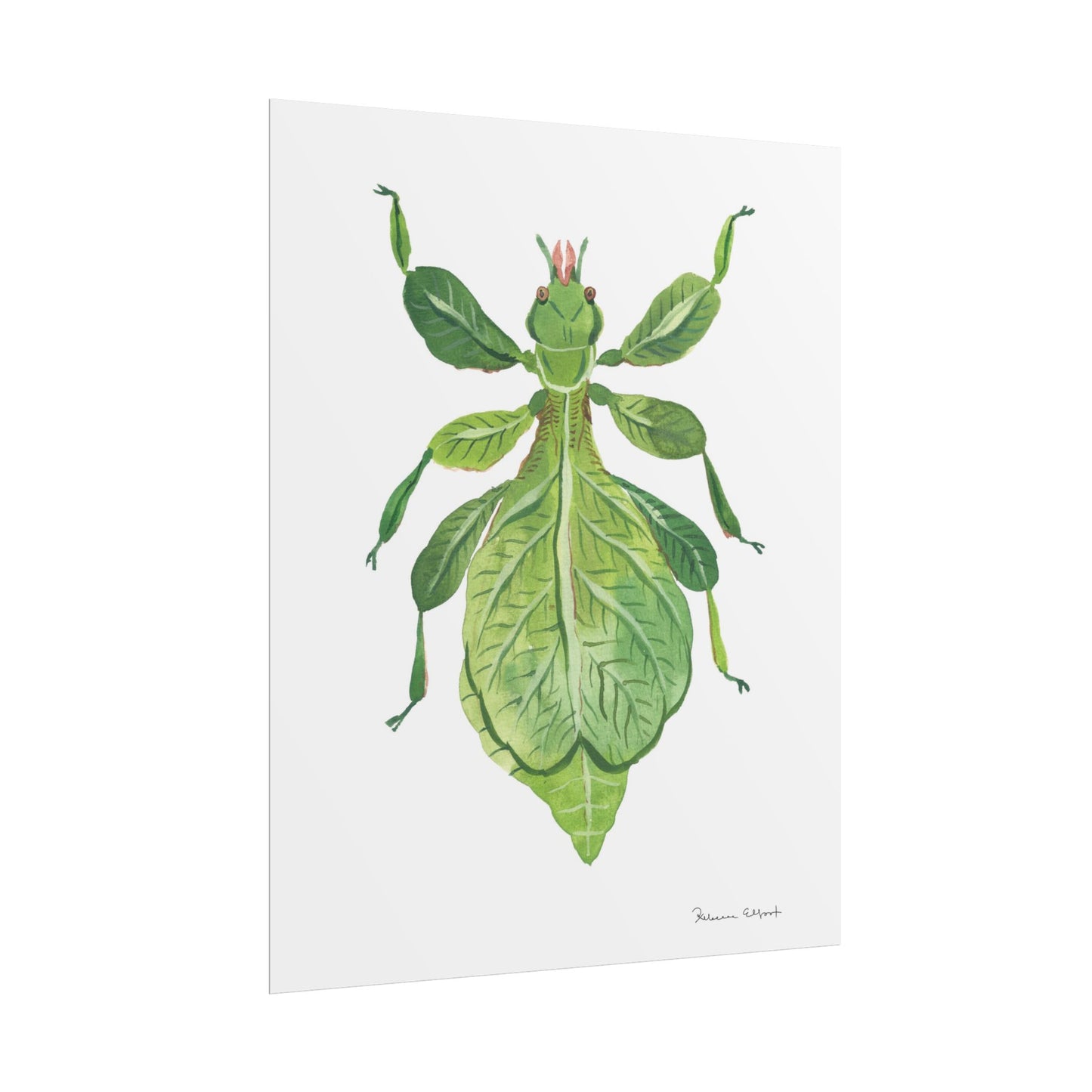 Green Leaf Insect Gouache Painting Art Print
