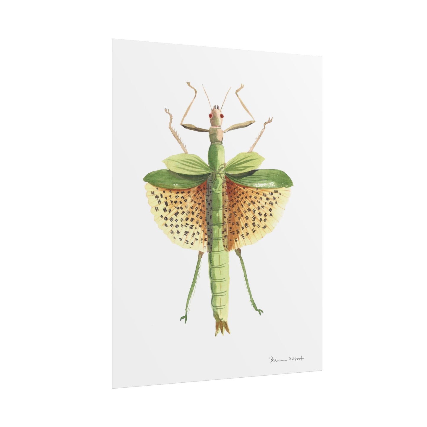 Yellow Leaf Insect Gouache Painting Art Print