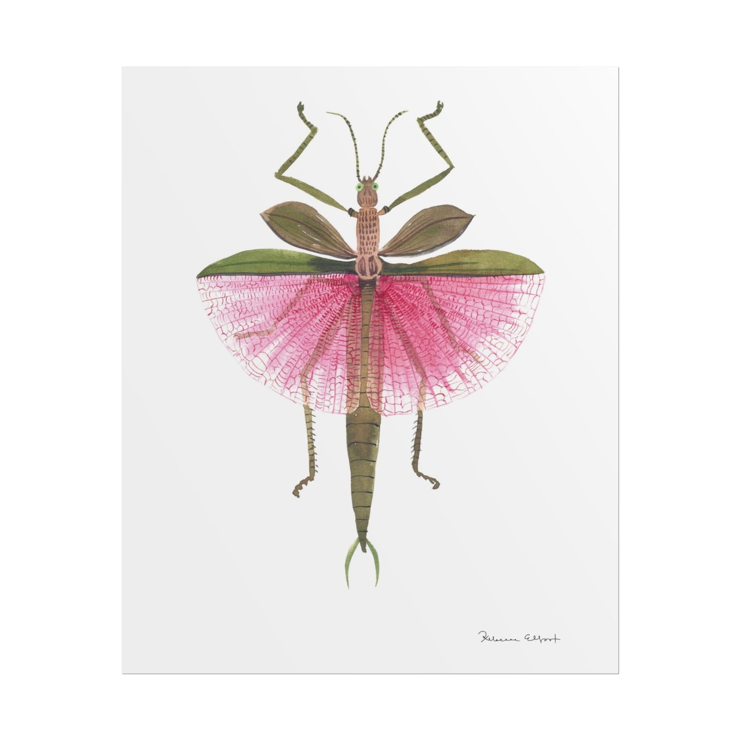 Pink Stick Insect Gouache Painting Art Print