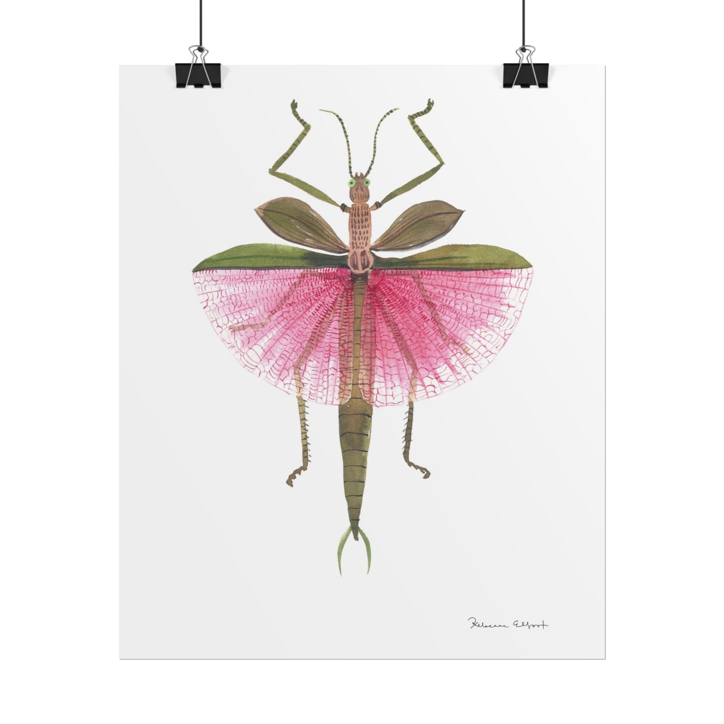 Pink Stick Insect Gouache Painting Art Print