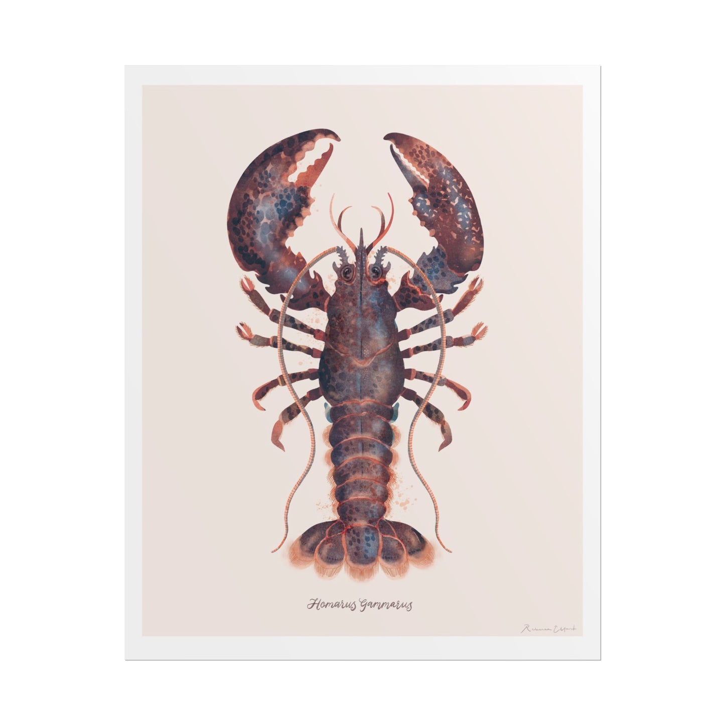 Lobster Wall Art Poster, Ocean Decor, Nautical Home Decor, Coastal Art, Seafood Lovers Gift, Kitchen Wall Art