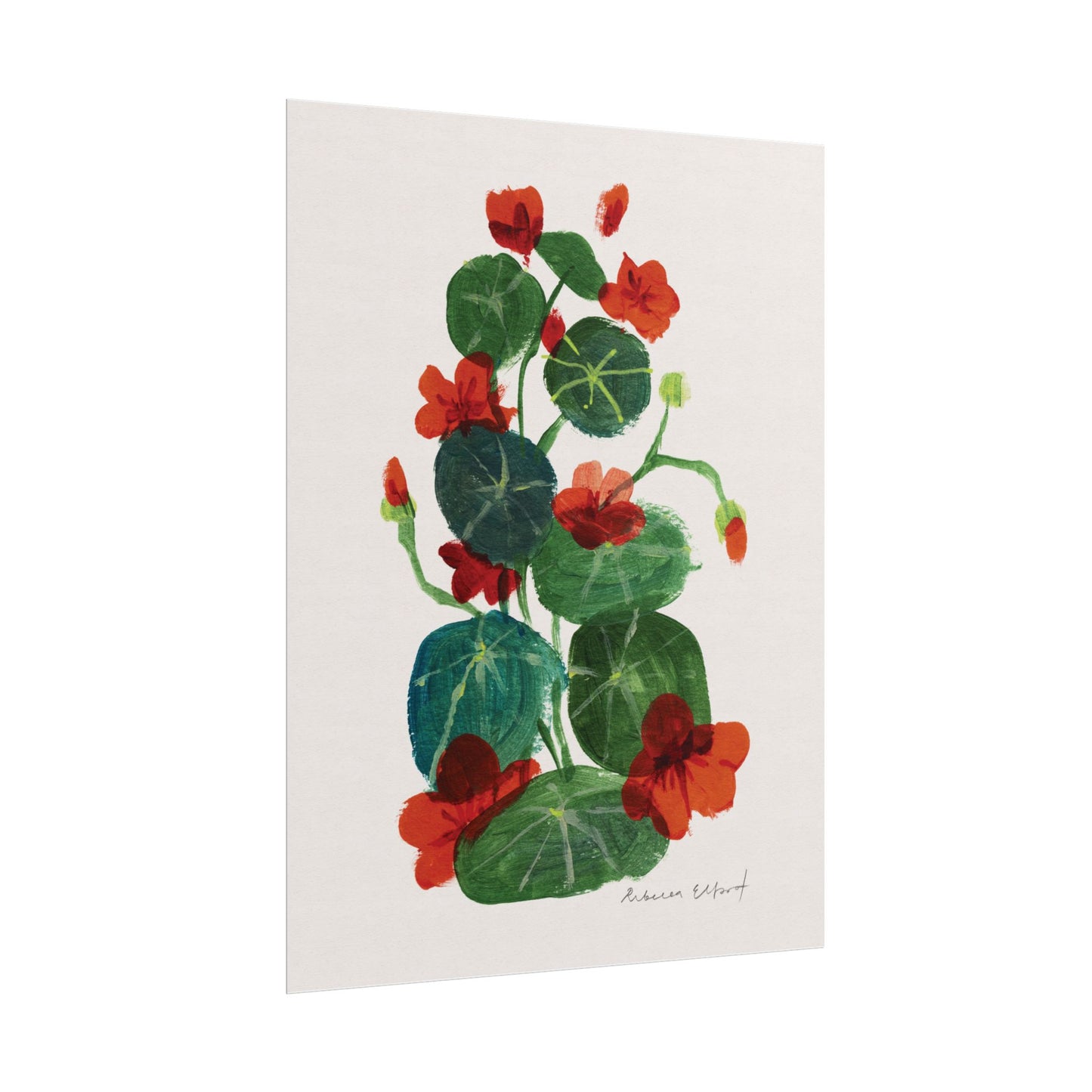 Nasturtium Floral Art Print