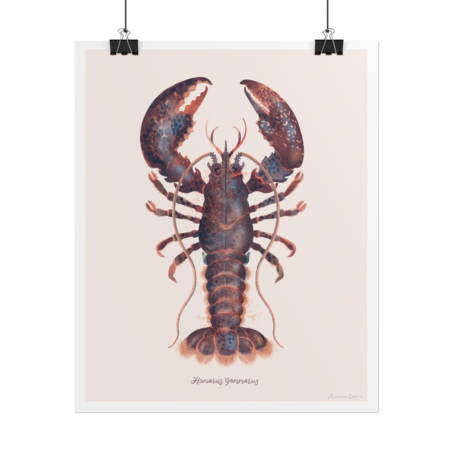Lobster Wall Art Poster, Ocean Decor, Nautical Home Decor, Coastal Art, Seafood Lovers Gift, Kitchen Wall Art