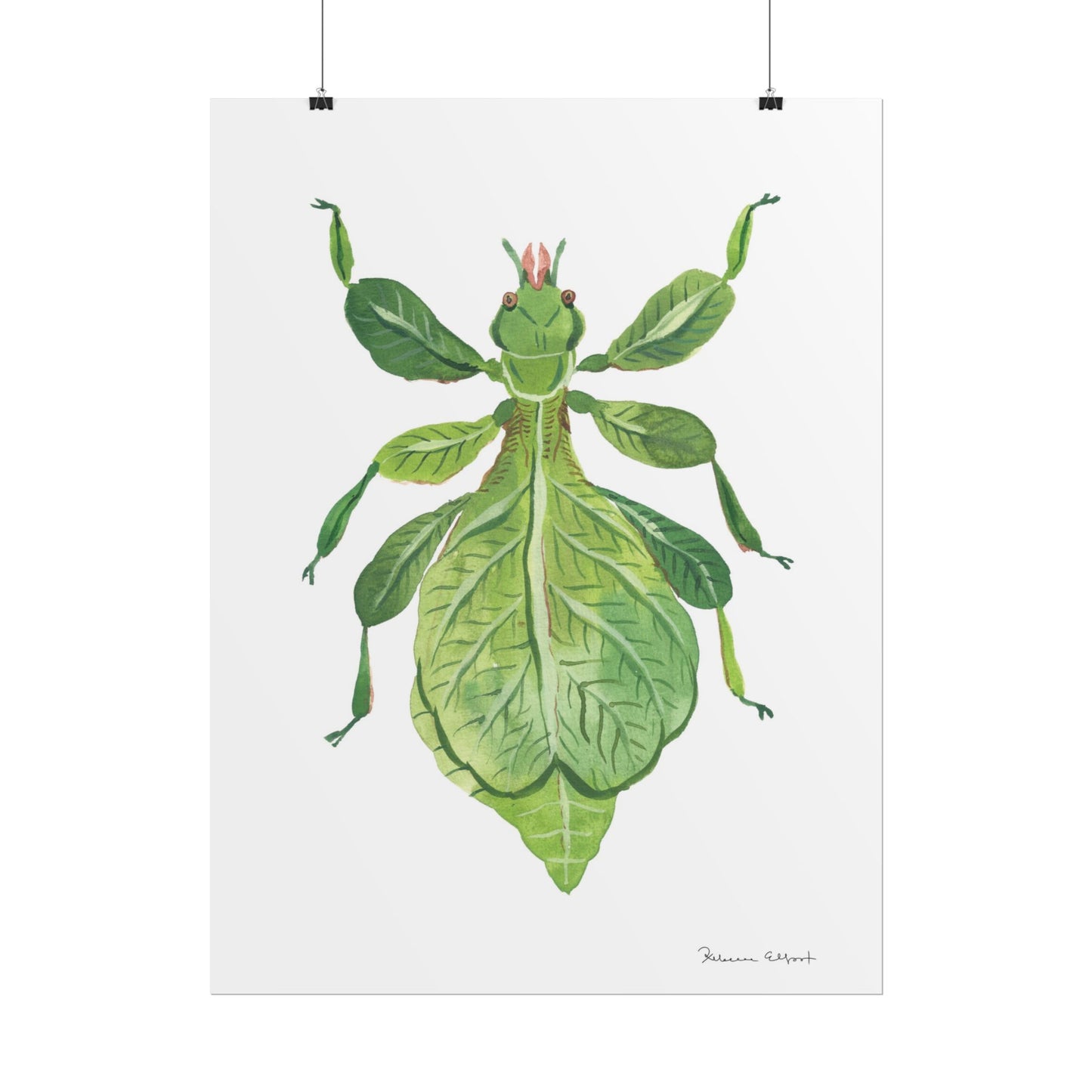Green Leaf Insect Gouache Painting Art Print
