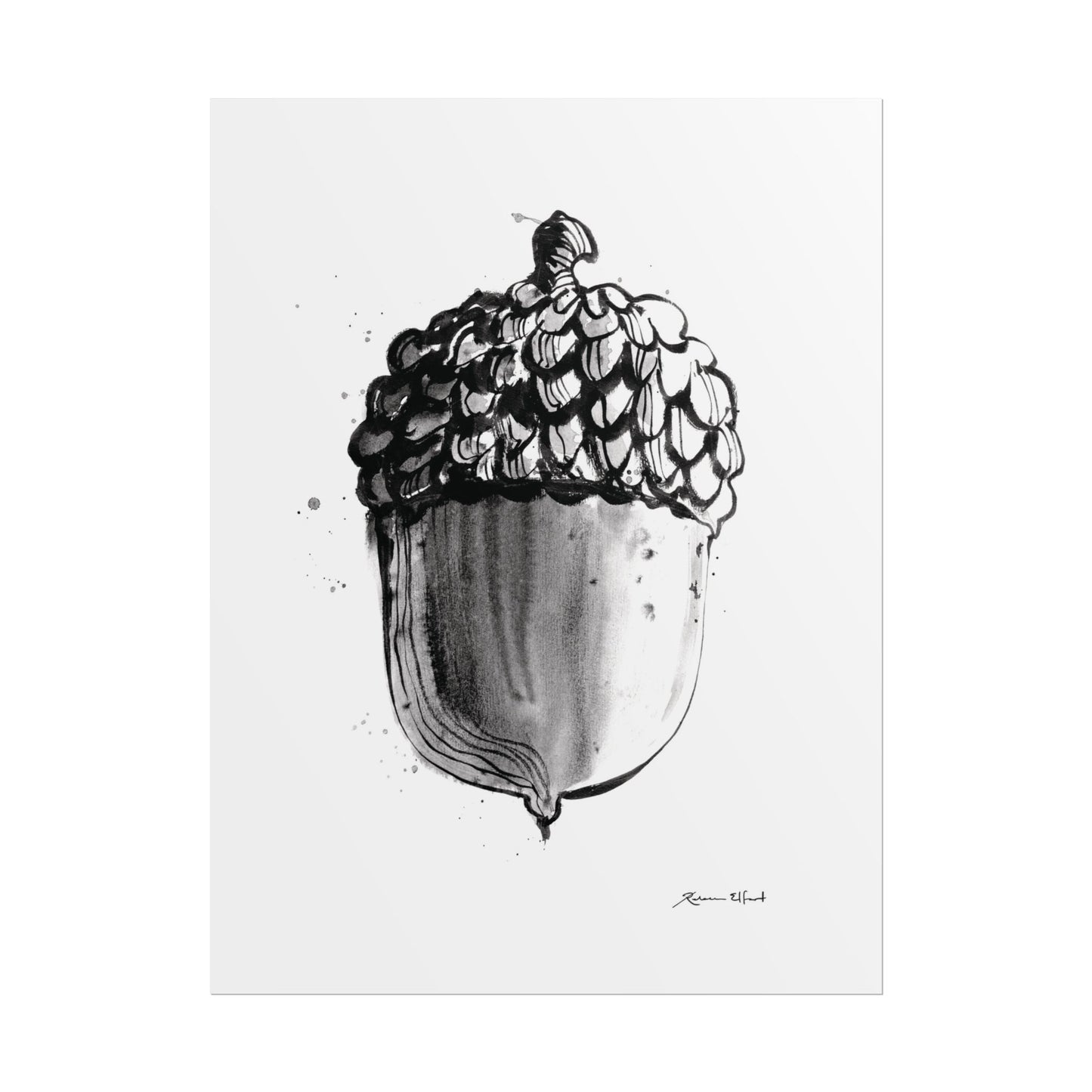 Ink Painted Acorn Print