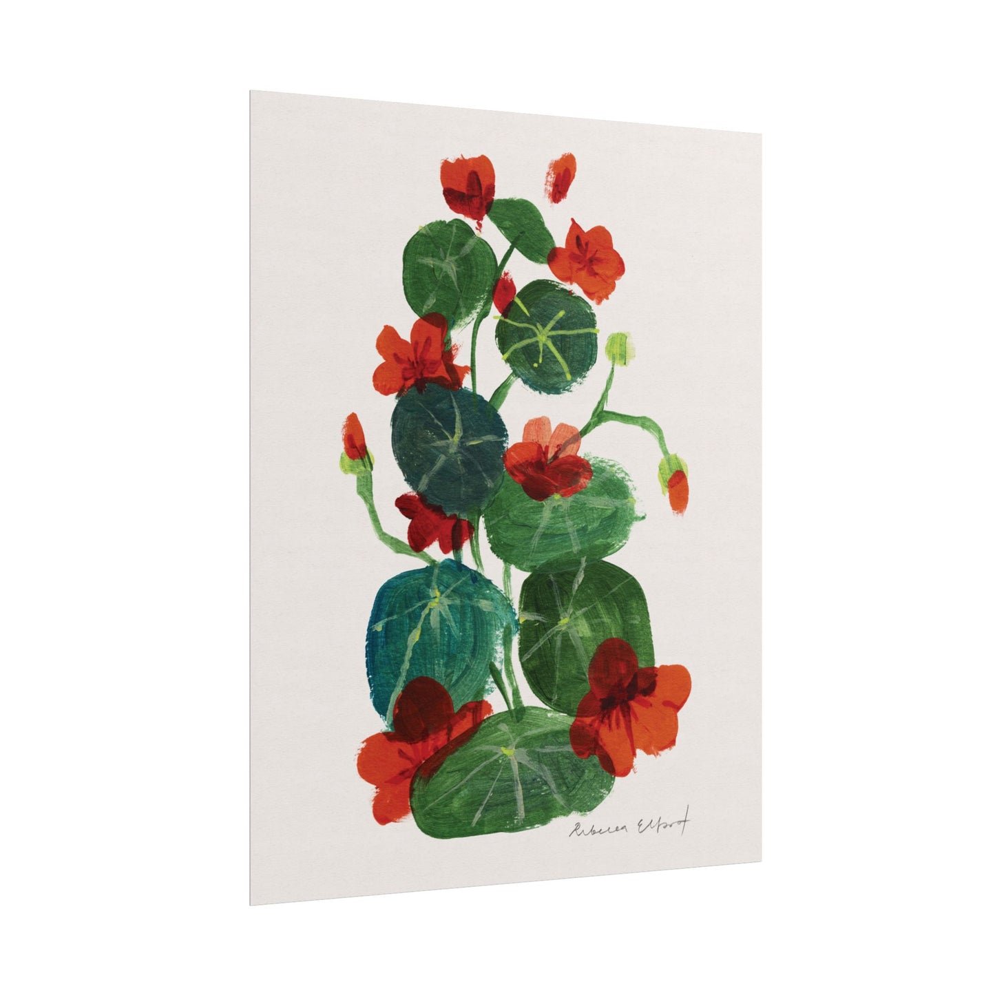 Nasturtium Floral Art Print