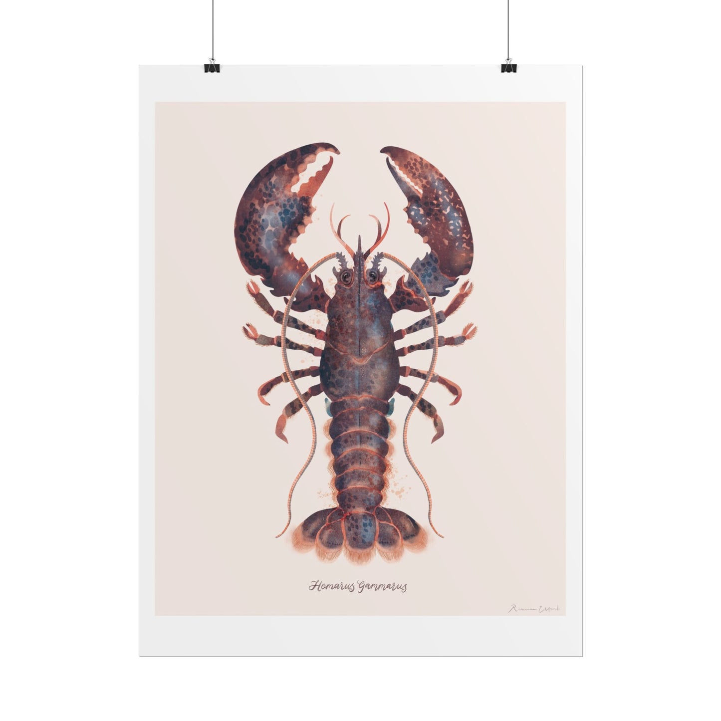 Lobster Wall Art Poster, Ocean Decor, Nautical Home Decor, Coastal Art, Seafood Lovers Gift, Kitchen Wall Art