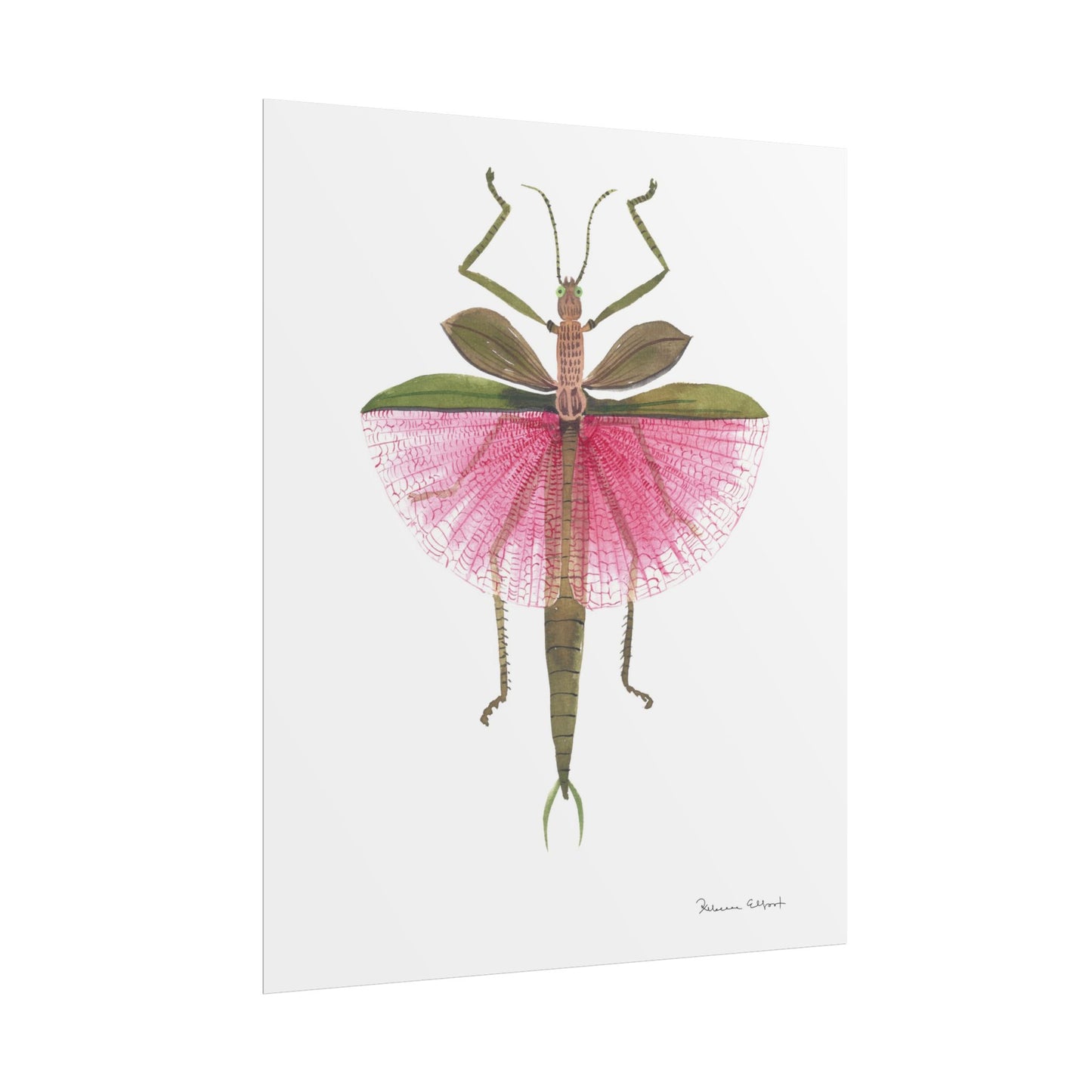 Pink Stick Insect Gouache Painting Art Print