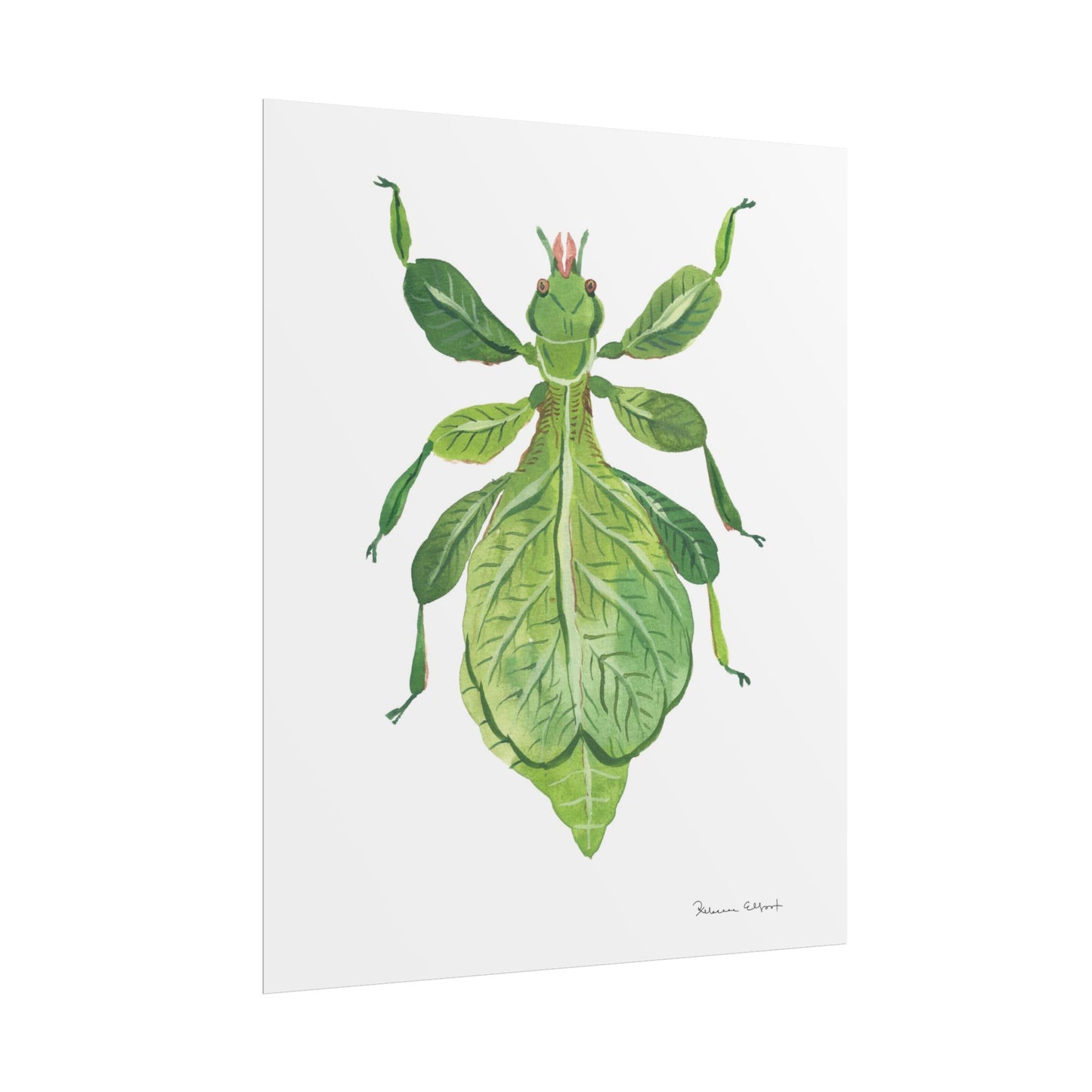 Green Leaf Insect Gouache Painting Art Print