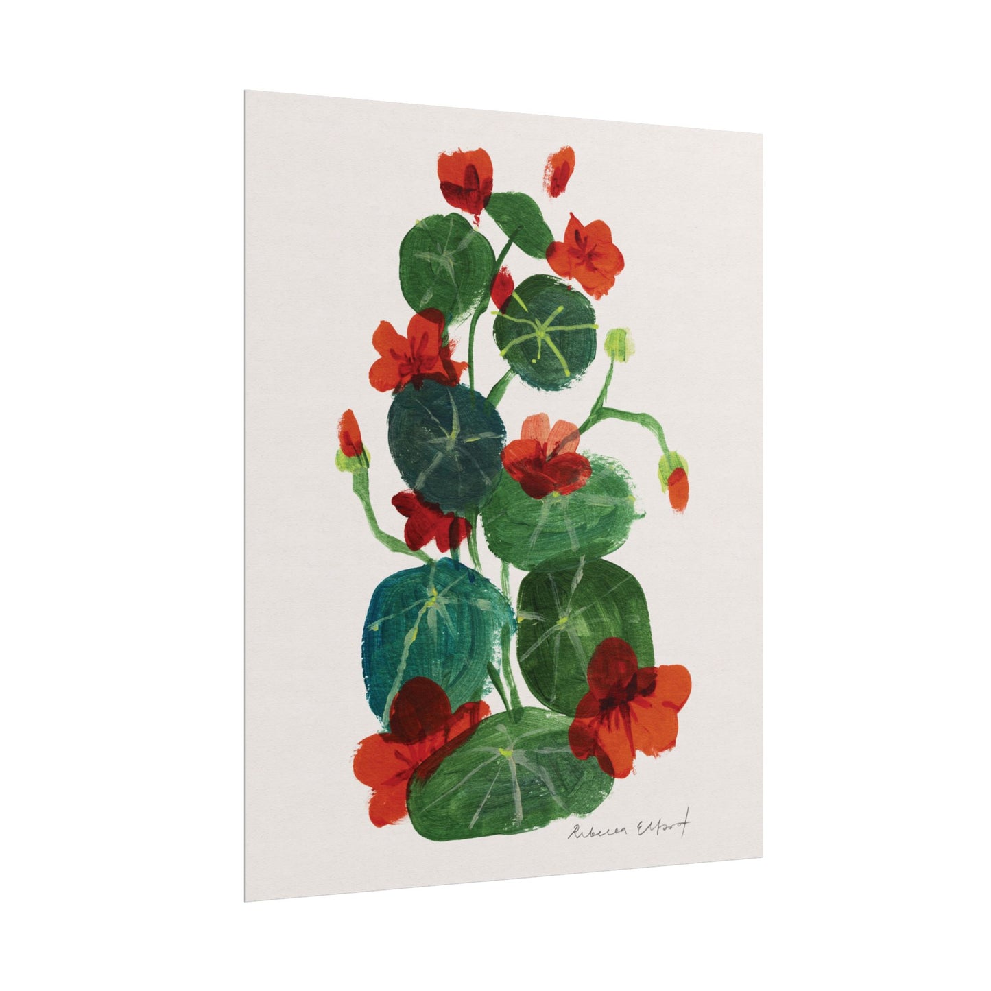 Nasturtium Floral Art Print