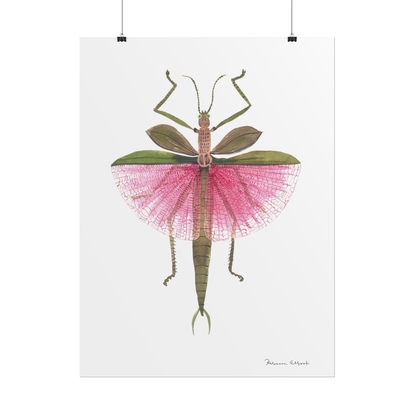 Pink Stick Insect Gouache Painting Art Print