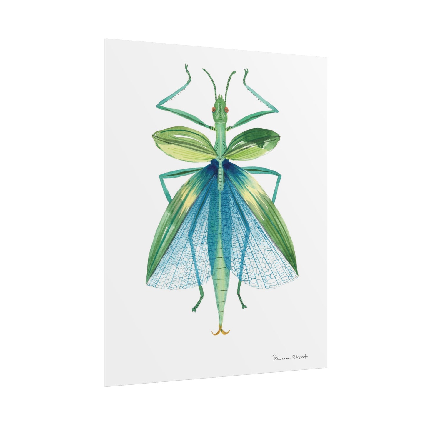 Blue Stick Insect Gouache Painting Art Print