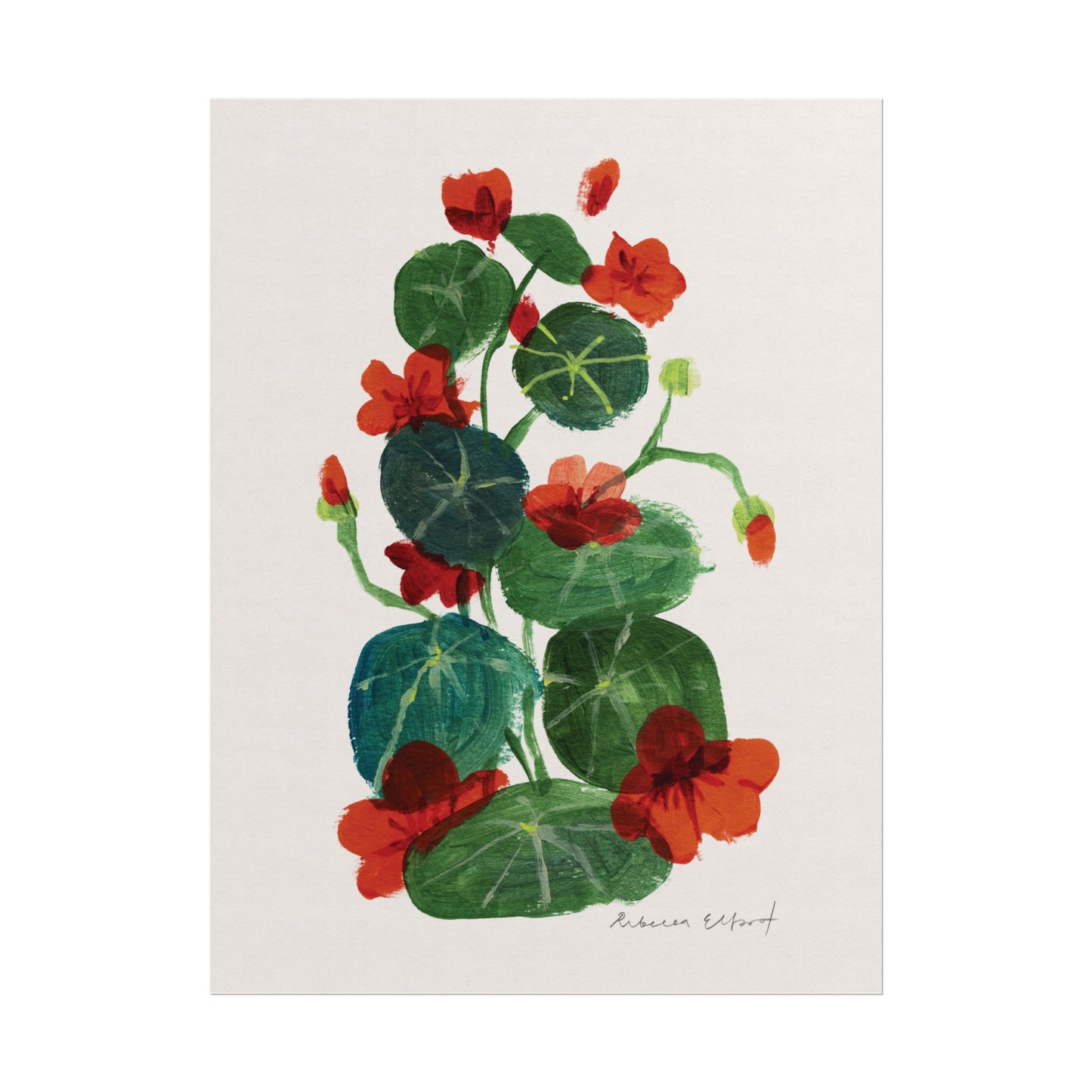 Nasturtium Floral Art Print