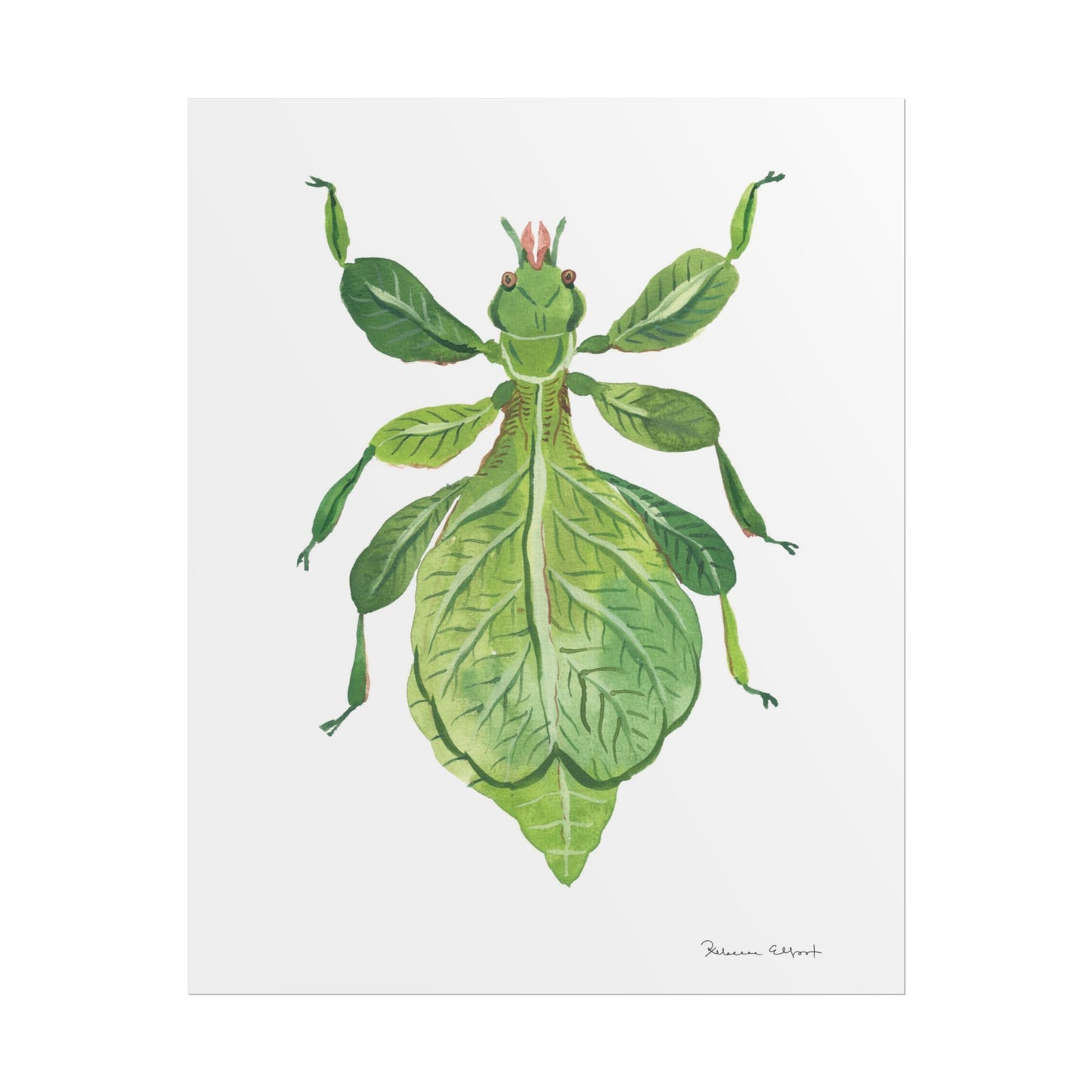 Green Leaf Insect Gouache Painting Art Print