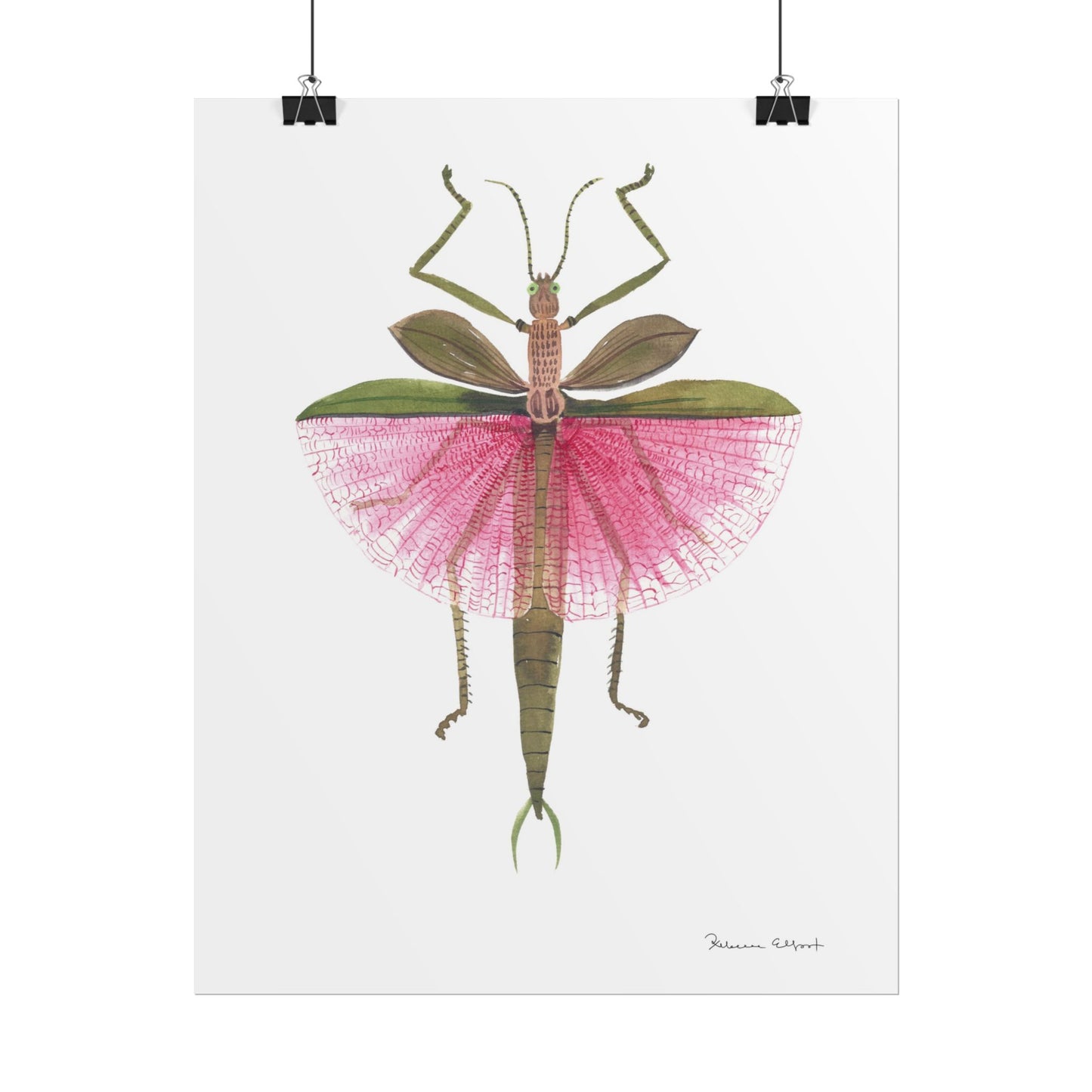 Pink Stick Insect Gouache Painting Art Print