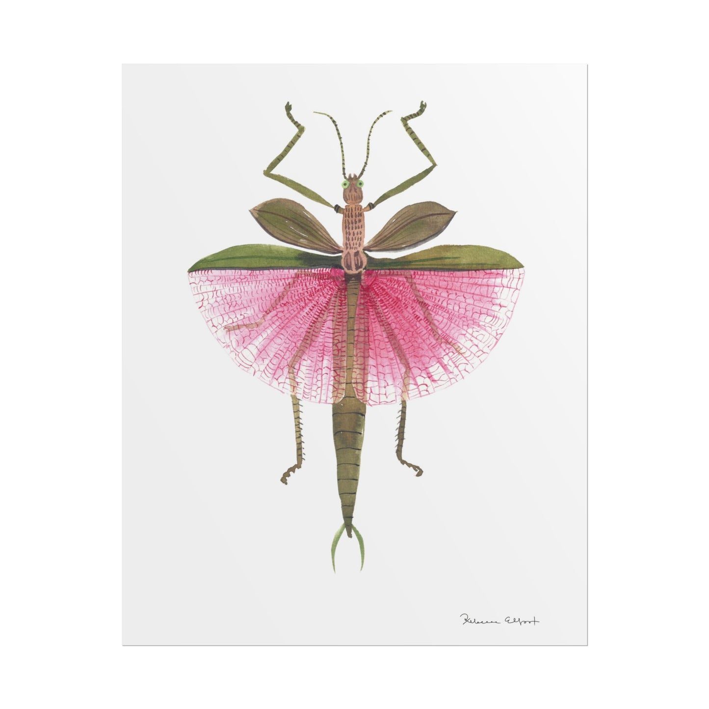 Pink Stick Insect Gouache Painting Art Print