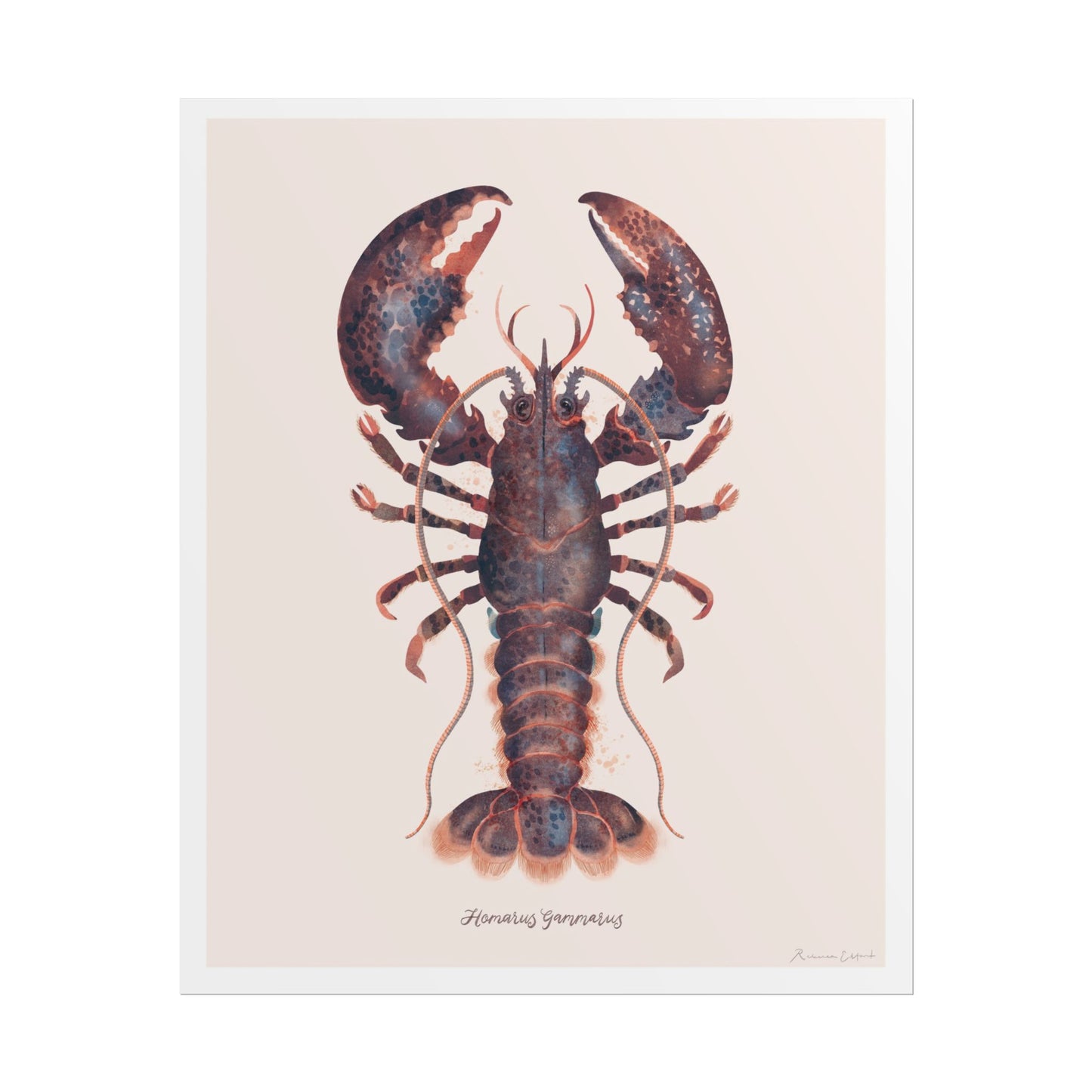 Lobster Wall Art Poster, Ocean Decor, Nautical Home Decor, Coastal Art, Seafood Lovers Gift, Kitchen Wall Art