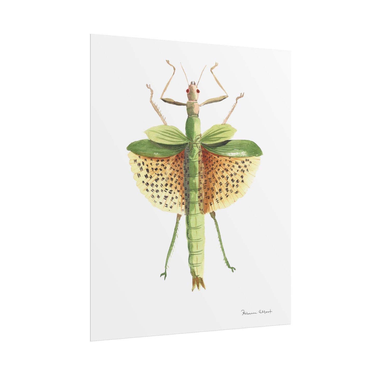 Yellow Leaf Insect Gouache Painting Art Print