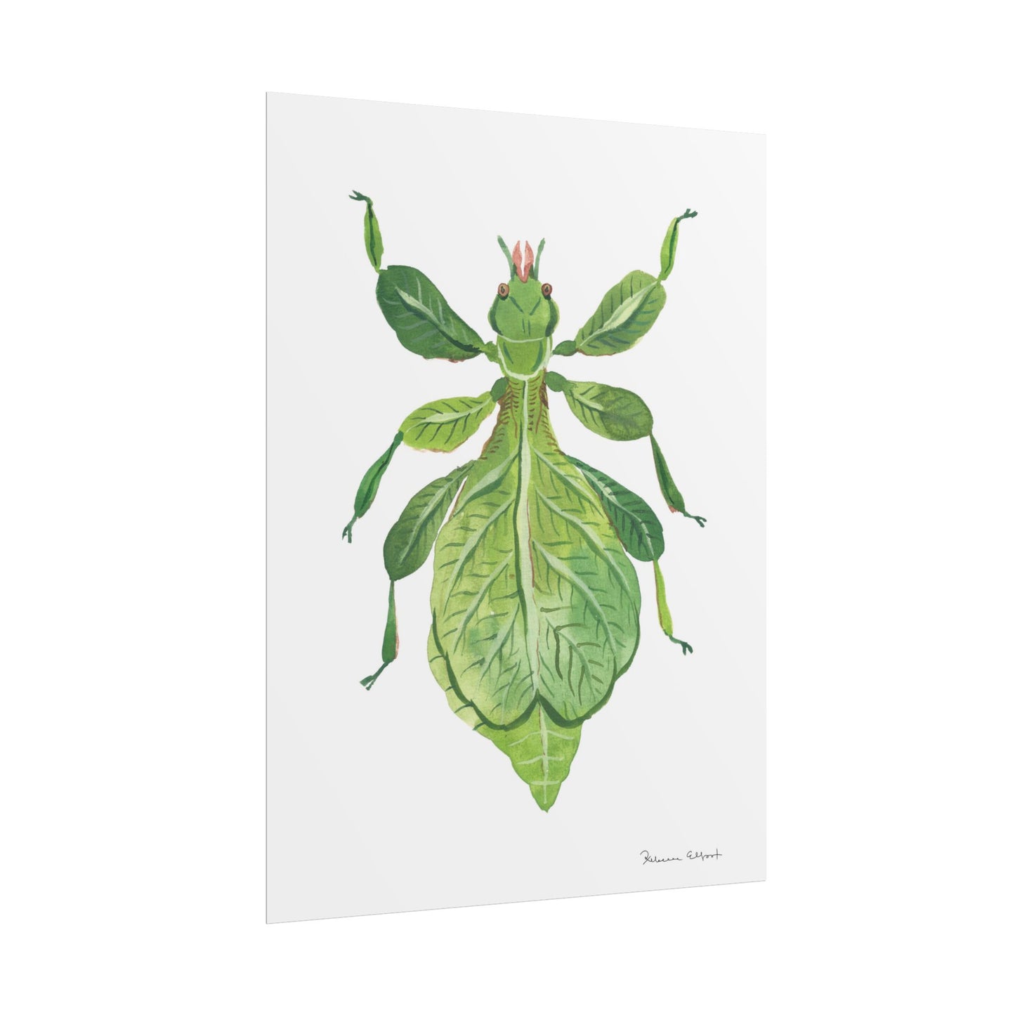 Green Leaf Insect Gouache Painting Art Print