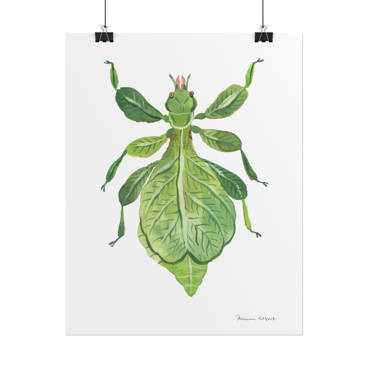 Green Leaf Insect Gouache Painting Art Print