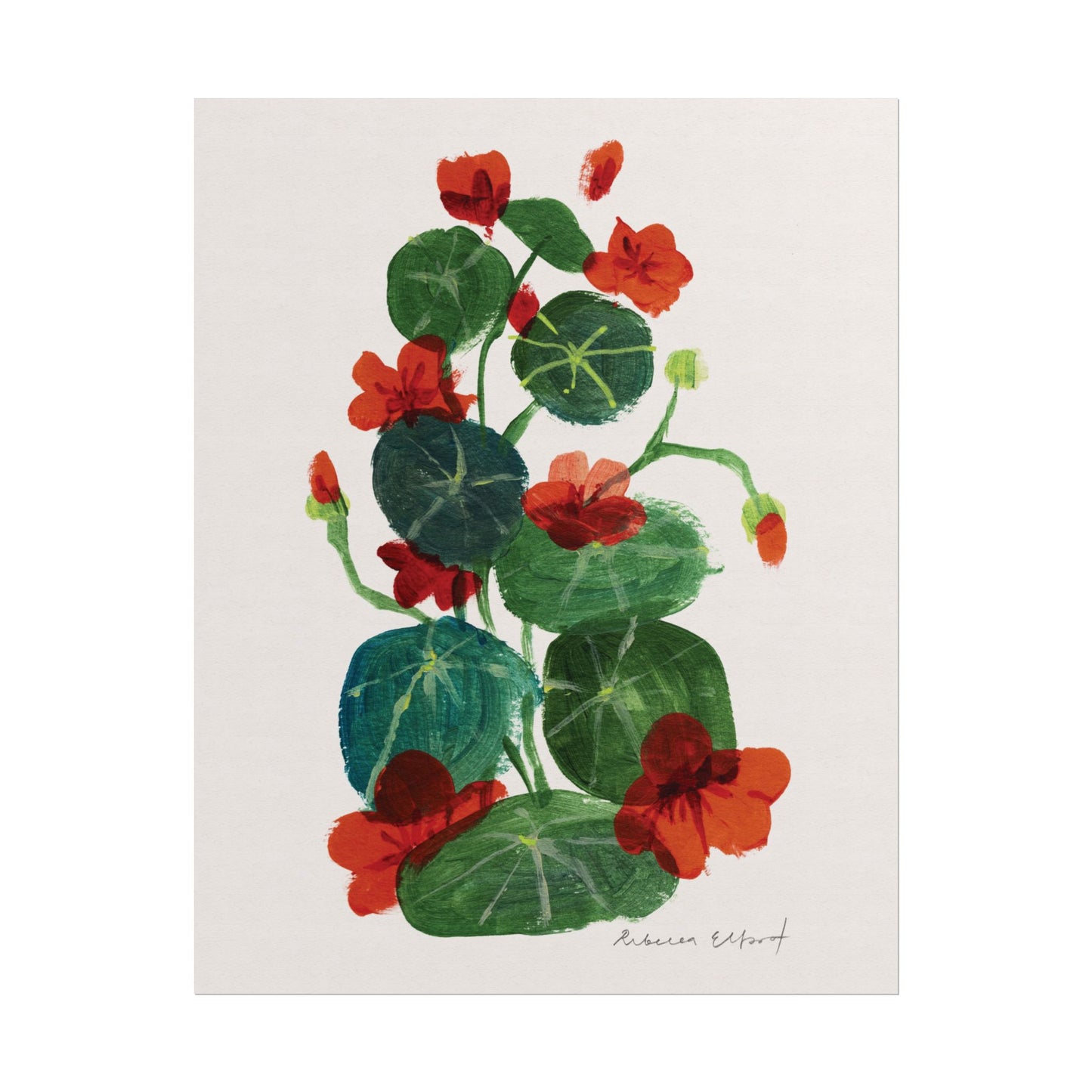 Nasturtium Floral Art Print