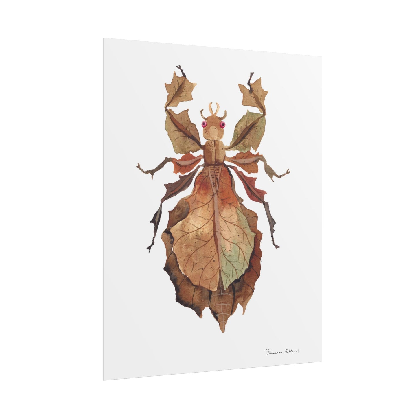 Brown Leaf Insect Gouache Painting Art Print