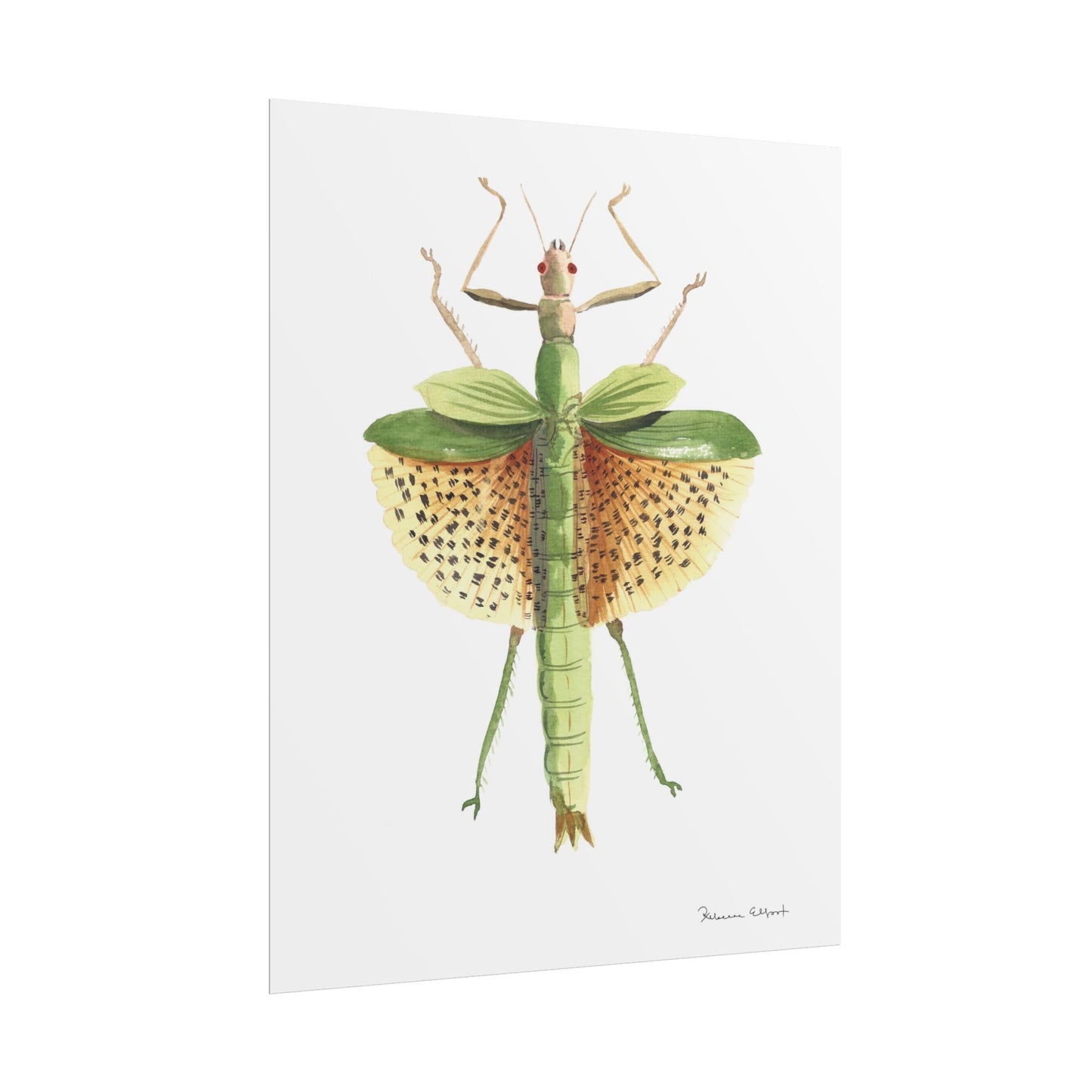 Yellow Leaf Insect Gouache Painting Art Print