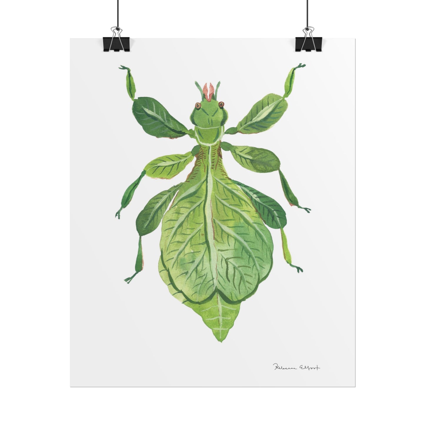 Green Leaf Insect Gouache Painting Art Print