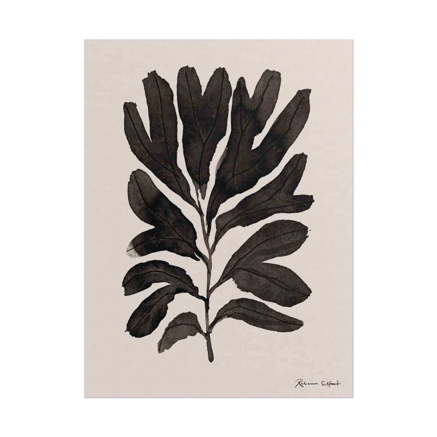 Abstract Ink Seaweed Branch - Art Print