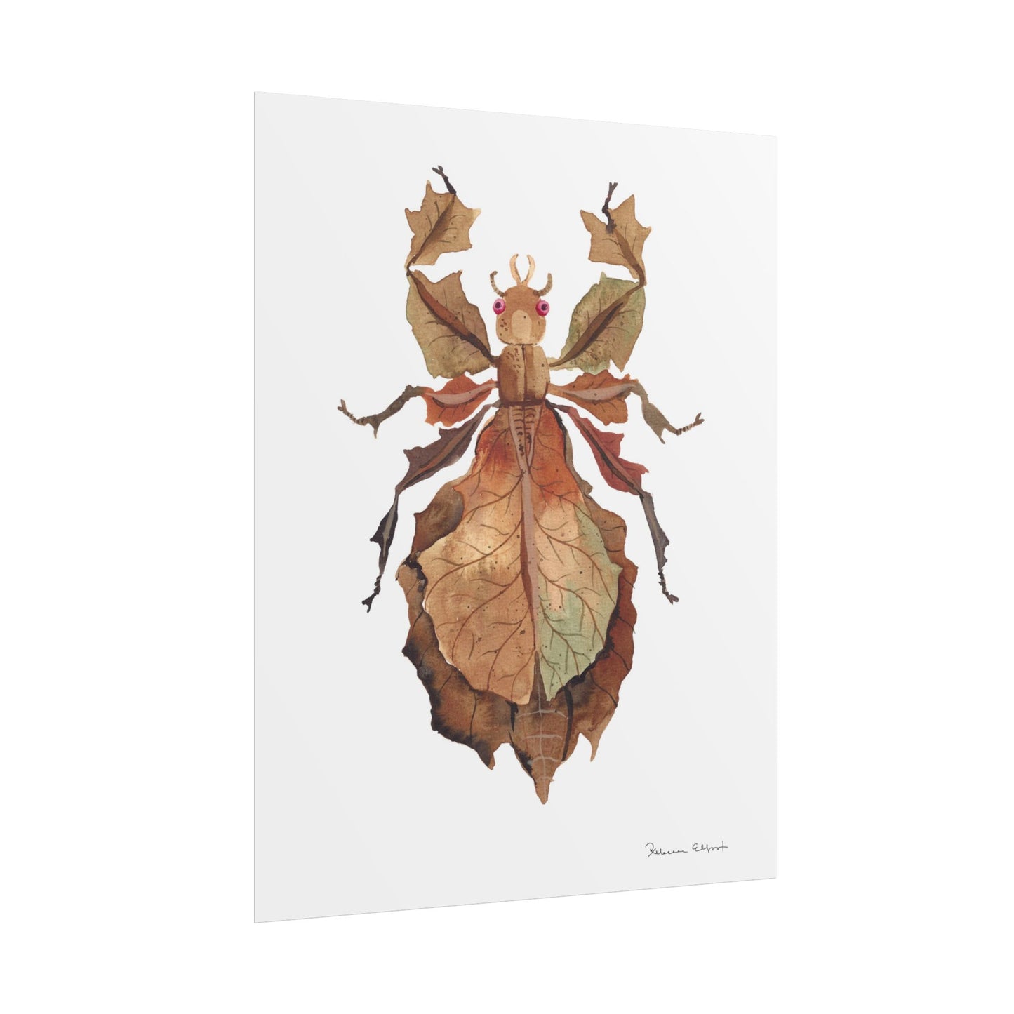 Brown Leaf Insect Gouache Painting Art Print