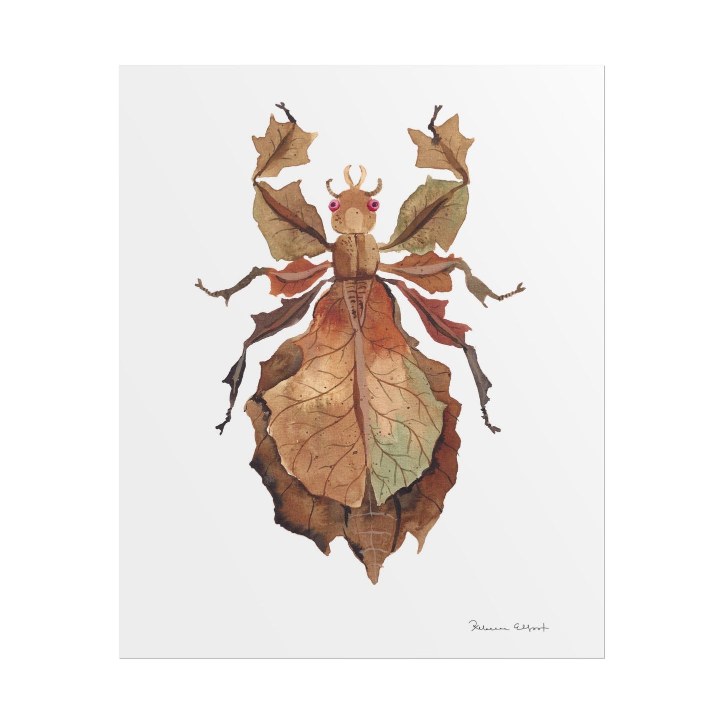 Brown Leaf Insect Gouache Painting Art Print