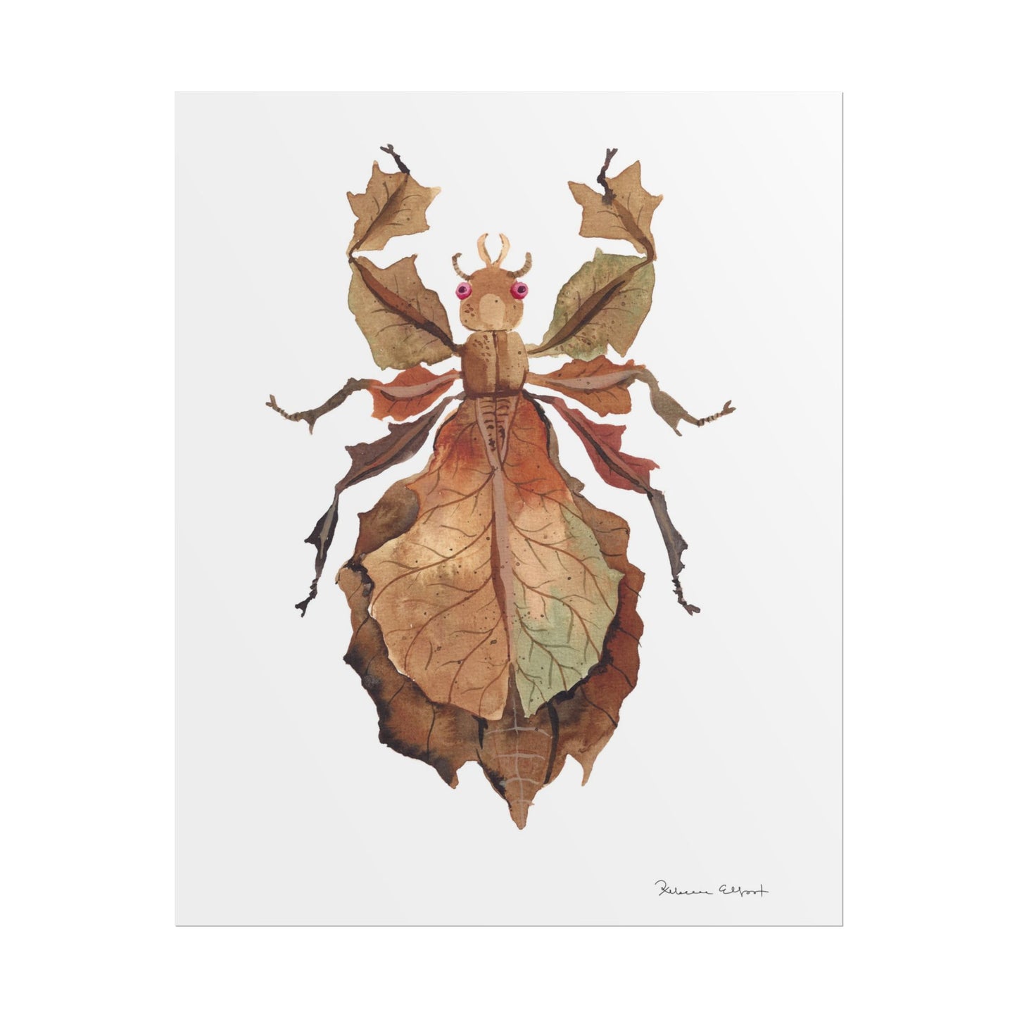 Brown Leaf Insect Gouache Painting Art Print